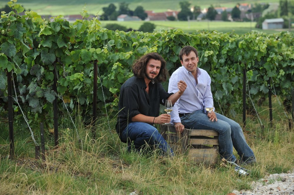 Domaine Bérêche et Fils