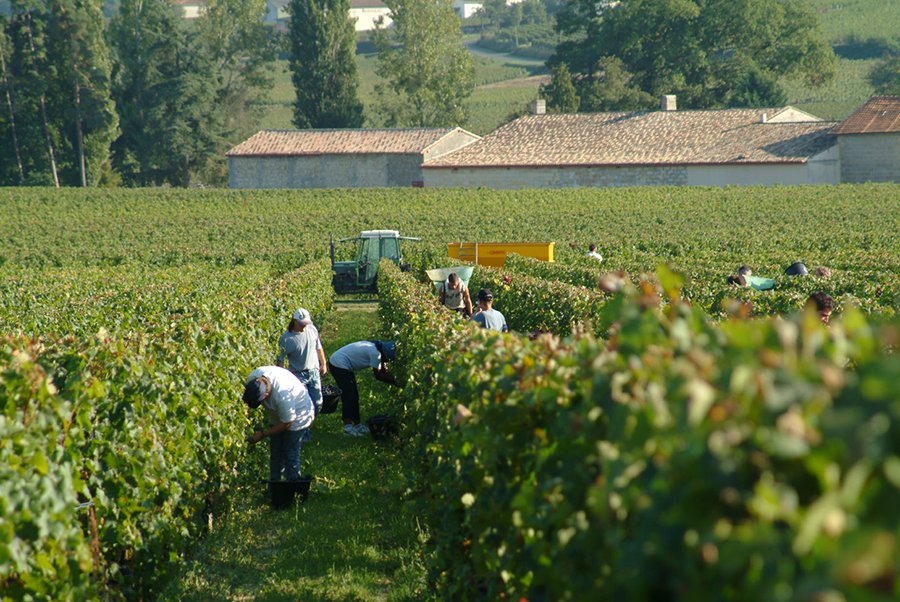 Château La Bergère